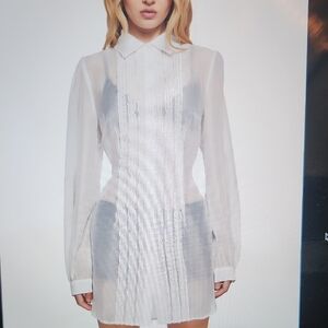 I Totally Paused Sheer Top